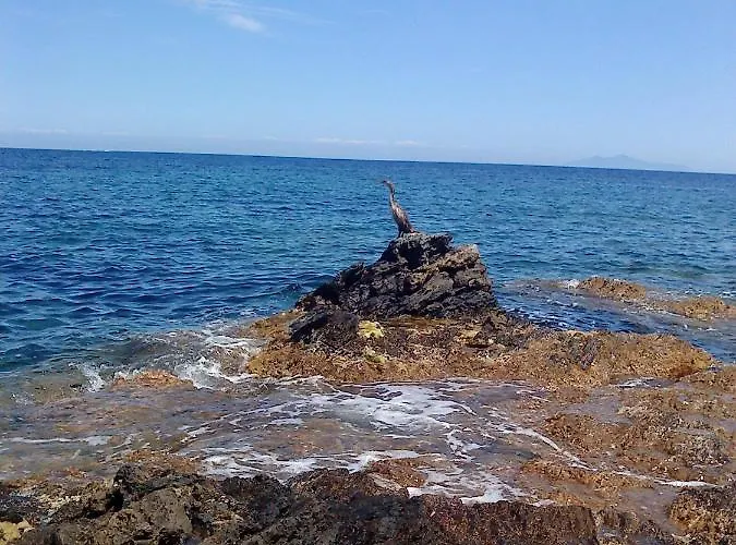 D Hôtes Chez Raymonde Et Sandrine 3*